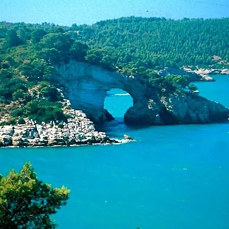 Bed and Breakfast Relais Parallelo 41 Βιέστε